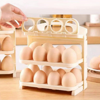 24 Grid Egg Storage Tray