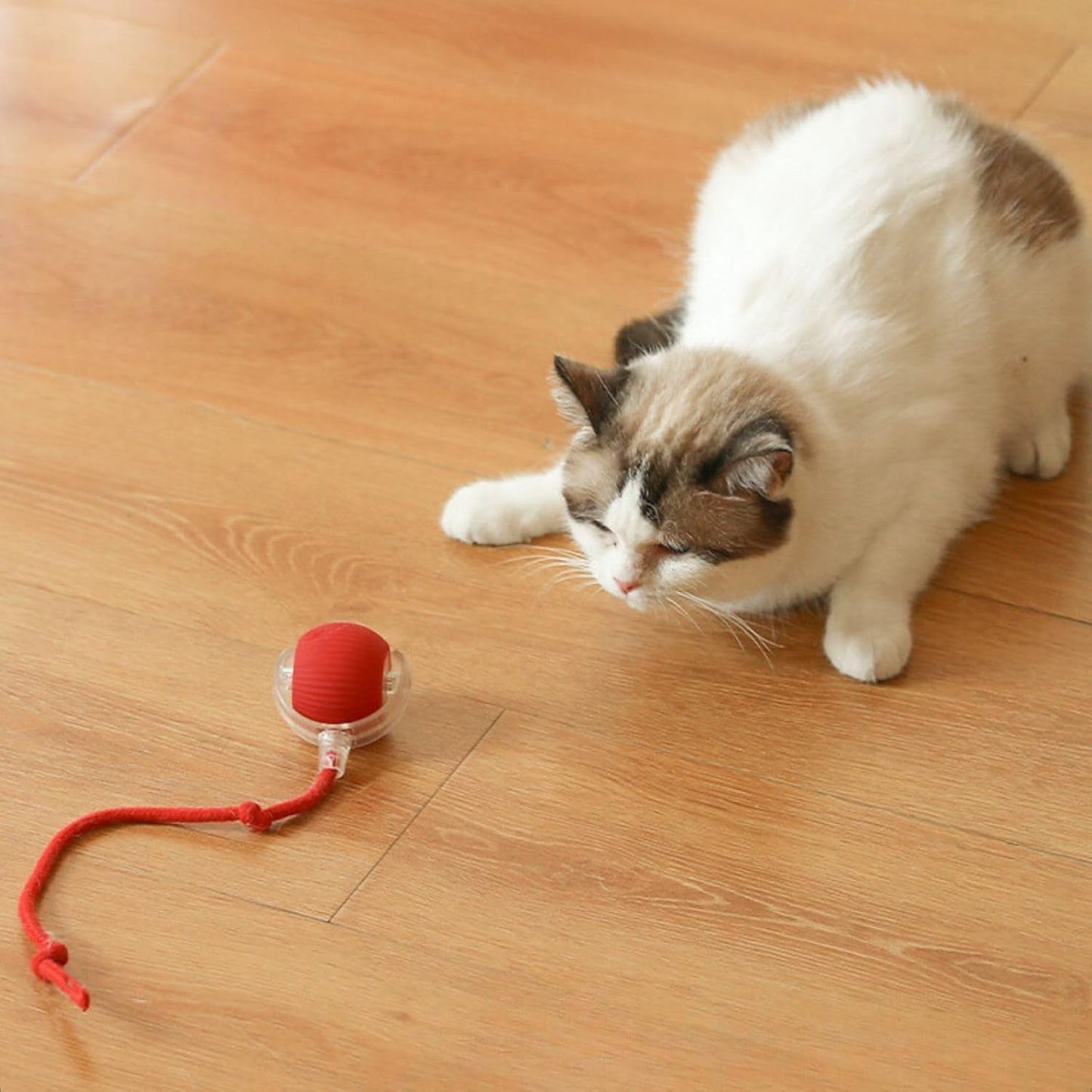 Rechargeable Interactive Cat Toy Ball with Detachable Tail and LED Light (1 Pc)