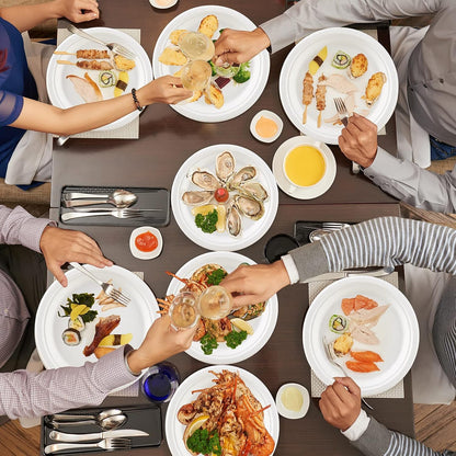 Freshee 9 Inch Compostable Bagasse Plate (10 Pc)