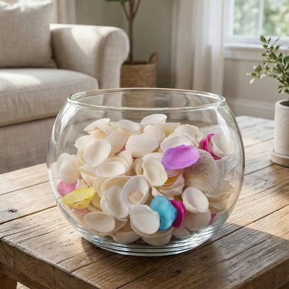 Decorative Seashells Set  (1 Set)