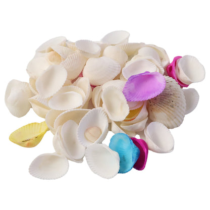 Sea Shell Assortment