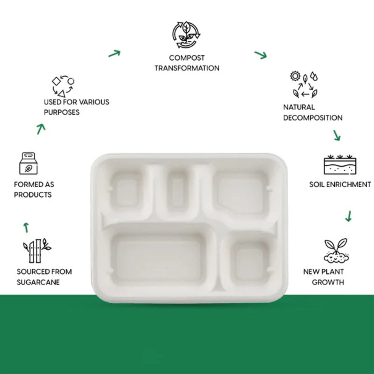 5-Compartment Rectangle Lunch Compostable Bagasse Plate – 10 Pcs Pack