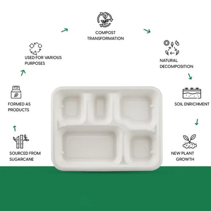 5-Compartment Rectangle Lunch Compostable Bagasse Plate – 10 Pcs Pack
